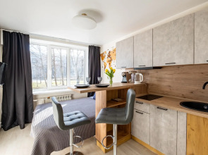 Апартаменты У метро Черная Речка