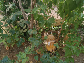 Гостевой Дом Якорь