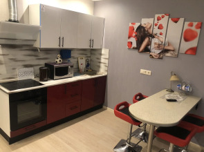 Апартаменты ЖК Арго выезд М4