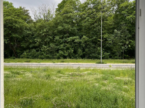 Апартаменты на Суздальской SmileRoom