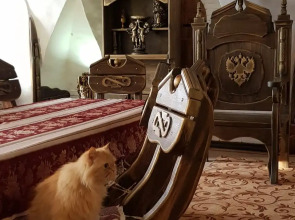 Гостевой дом Дом Ершова