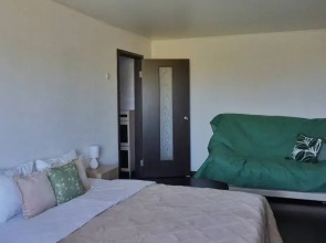 Квартира Однушка в историческом центре