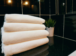 Отель Гостиница Ковчег