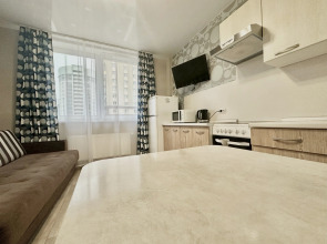 Квартира Шейнкмана 86А