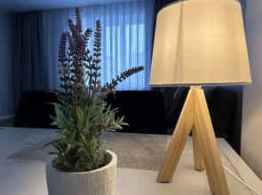 Квартира пр-т Красного знамени 160А Босфор Хоум 2