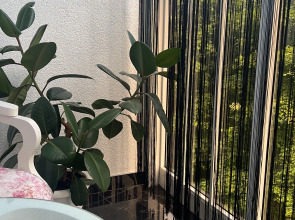 Квартира Студия-Раушен