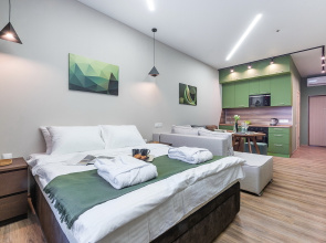 SKY INN Color Green Apartment