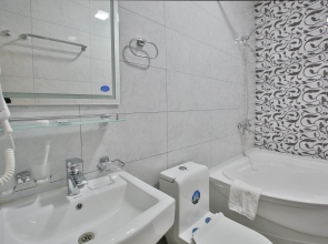 Отель Asian Plaza