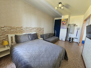 Uyutnaya V Tsentre Flat