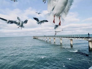 Квартира Море из окна