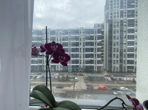 Квартира 1K c дизайнерским ремонтом в Приморском районе