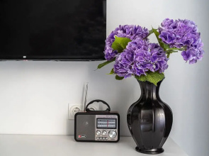 Апартаменты LaMansh Apartment