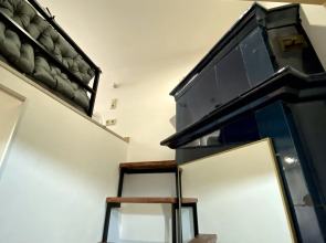 Апартаменты Студия на Рубинштейна 23