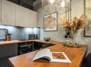 Апартаменты Queenstay Питер лофт