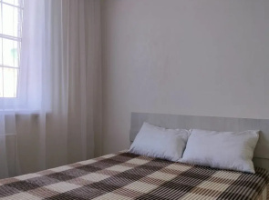 Studiya s Otdelnoy Kukhney na Allee Flat