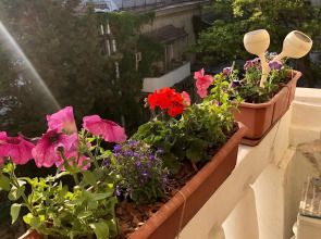 Хостел Смайл