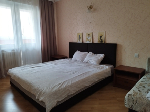 Na Pushkina 33 Flat