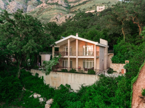 Delphinium Villa