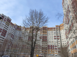 Апартаменты Ягодинская 25