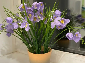 Апартаменты на Космонавтов 14/2