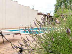 Гостевой дом Provence