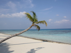 Отель Boutique Beach All Inclusive Diving