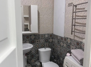 Апартаменты Студия Malina Apartment в ЖК Спутник