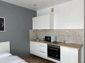 Апартаменты Домант Романова 60/1 (8)