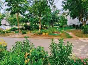 Апартаменты Анохина