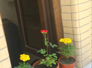 Бутик-Отель Samarkand City Center Hotel