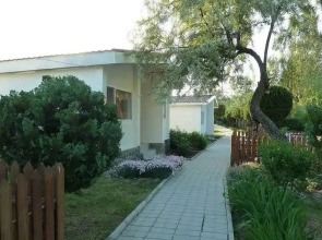 База отдыха Динамо 1