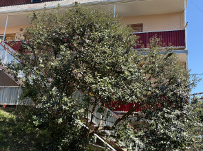 Yuzhny Dom Guest house