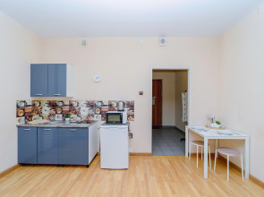 Апартаменты в центре Екатеринбурга на Белинского 30 (678)