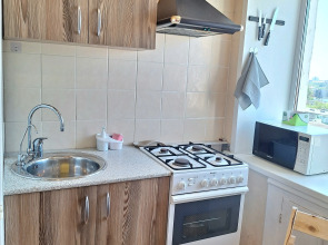 Квартира в центре на Толбухина