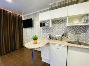 Апартаменты Hanaka на Пионерской 21Б №1