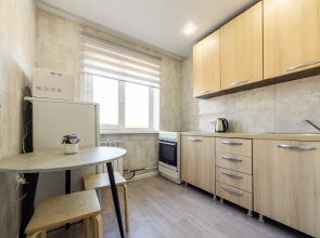 Апартаменты Домино по ул. Устиновича 14