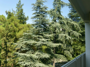 Гостиница «Адмирал» Ялта