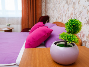9 Nochej Ivana Susanina 41 Apartments