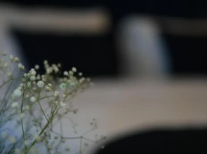 Nevi Hotel & Suites İstanbul Taksim