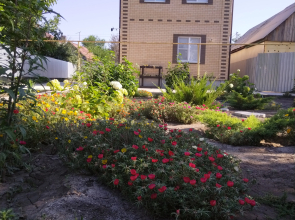 Viktoriya Guest House
