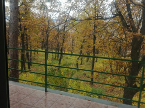 МУП Пансионат Звездный