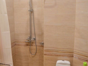 Частный Дом с Беседкой на Проспекте Дзержинского 25