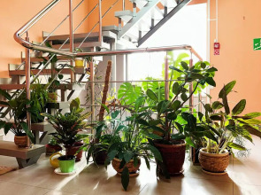 Гостиница Афоня