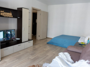 Квартира на Московском проспекте 209