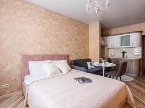 Квартира Толстой Восточный проезд