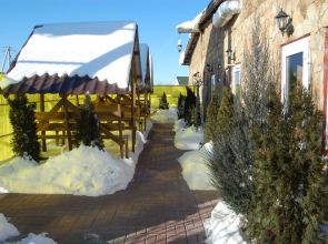 Izbushka V Repnom Guesthouse