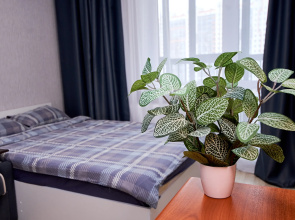 Uyutnaya Svetlaya Na Rodnikakh Flat
