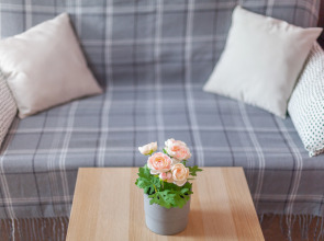 Апартаменты RentPlaza класса Lux