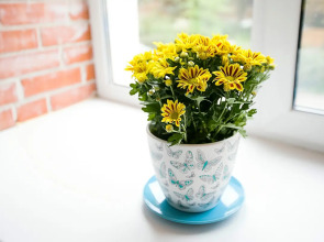 Гостевой дом Simple Italy