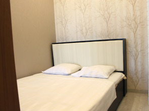 Апартаменты Бакинская 2